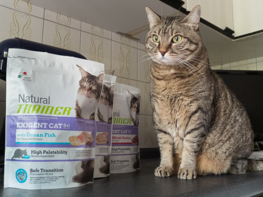 gatto pet food trainer