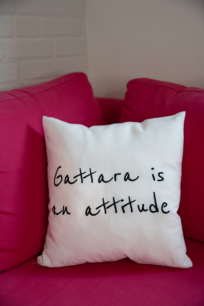 gattara is an attitude